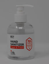 Load image into Gallery viewer, SGOT SkynWorks Instant Hand Sanitizer 75% Alcohol with Spray (Health Canada Approved)