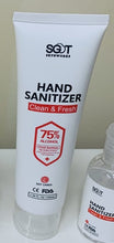 Load image into Gallery viewer, SGOT SkynWorks Instant Hand Sanitizer 75% Alcohol with Spray (Health Canada Approved)